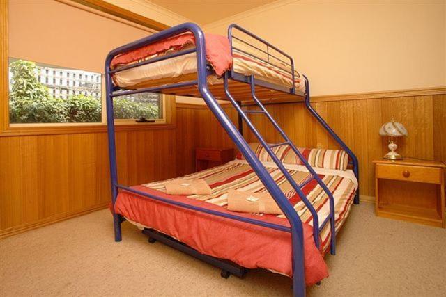 Apollo Bay Backpackers Lodge 部屋 写真